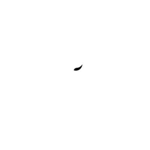 US-Version-No-Synthetic-Oils-Or-Artificial-Coloring-500x500